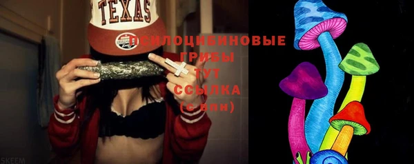 спиды Богданович