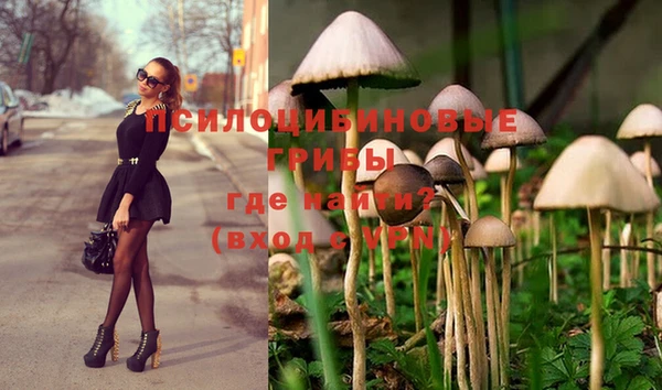 jwh Богородицк