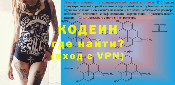 спиды Богданович