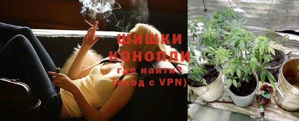 стаф Беломорск