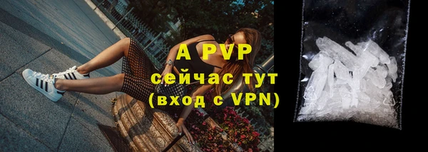 ПСИЛОЦИБИНОВЫЕ ГРИБЫ Бородино